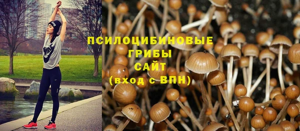 гидропоника Осташков