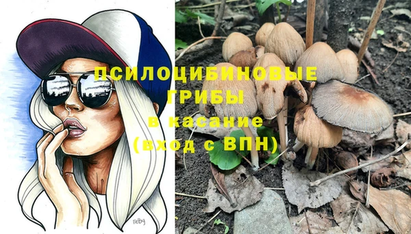 гидропоника Осташков