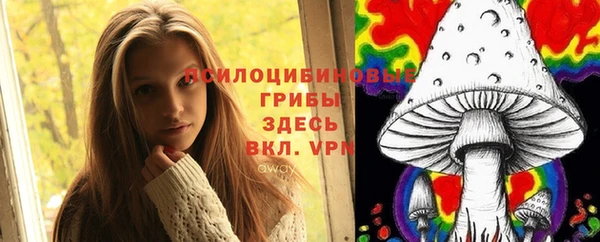 гидропоника Осташков