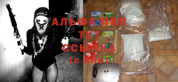 спиды Осинники