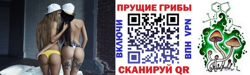 Купить  Гусь-Хрустальный  Псилоцибиновые грибы мухоморы 